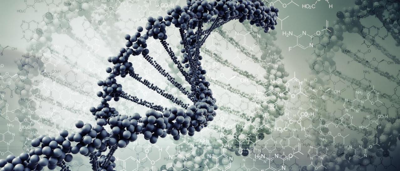 Ultrasonicador enfocado para pequeños volúmenes