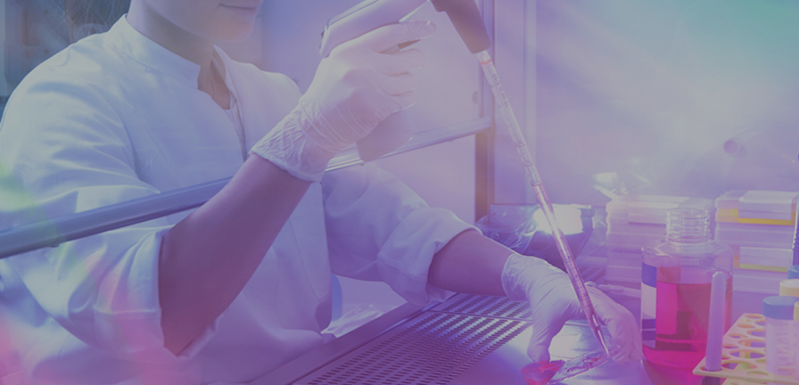 Fluorómetro portátil