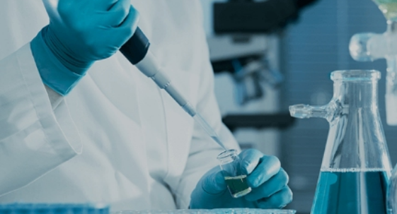 Gel de electroforesis de agarosa preteñido