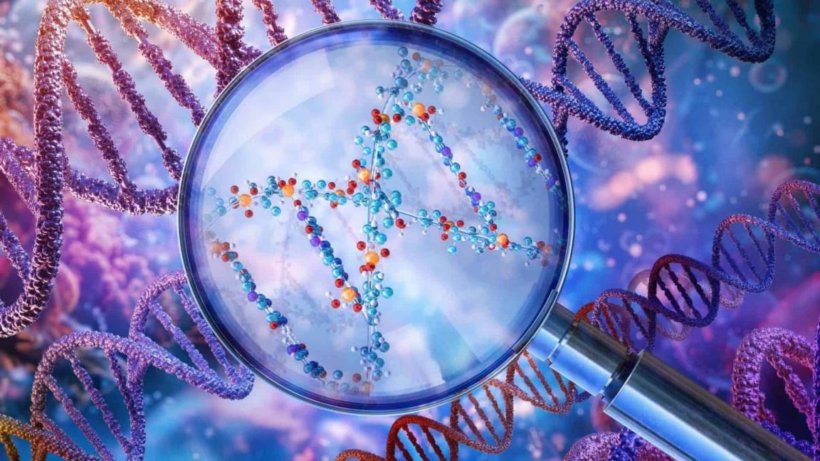 Gel de Agarosa de Biología Molecular