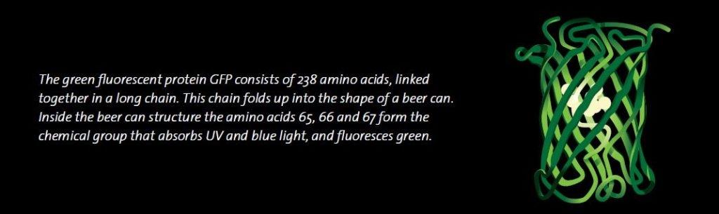 Fluorómetro de sobremesa