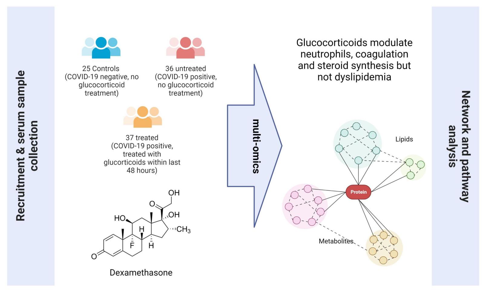 Ultrasonicador de alto rendimiento para laboratorio