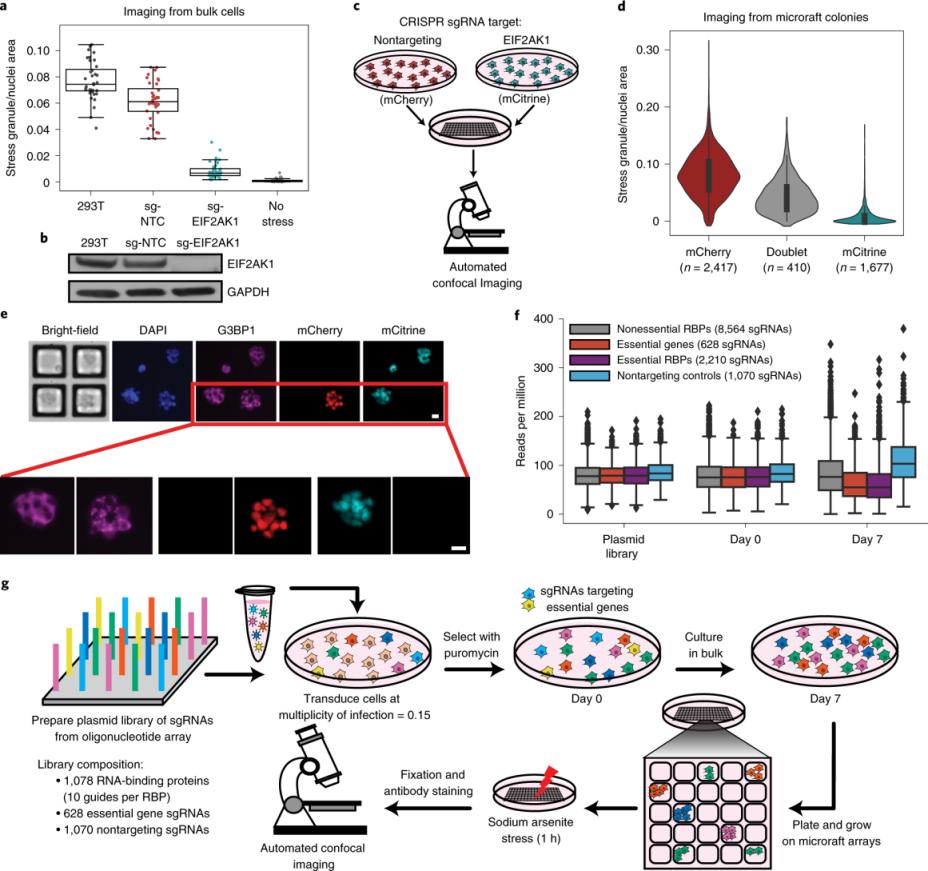 Generador de imágenes de gel de laboratorio farmacéutico