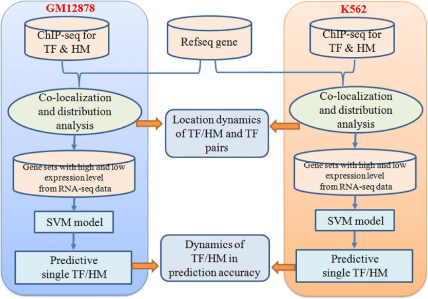 Servicios de secuenciación de chips