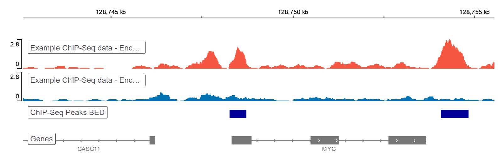 Pipeline de Análisis de Datos ChIP-Seq