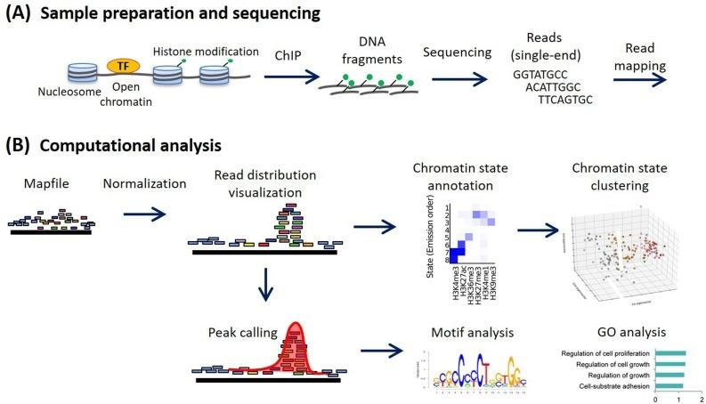 Solución de problemas con ChIP-Seq