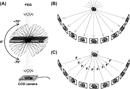 Tomografía crioelectrónica (Crio-ET)
