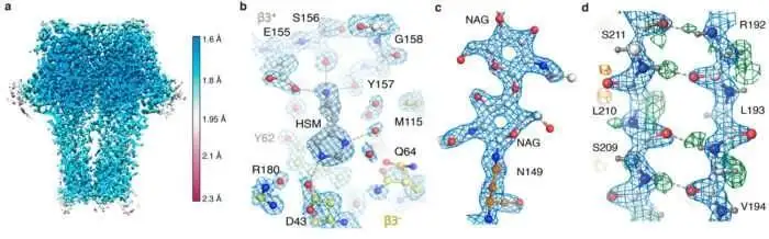 Cryo-Em de alta resolución